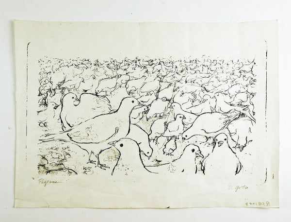 Pigeons By D. Goto Lithograph