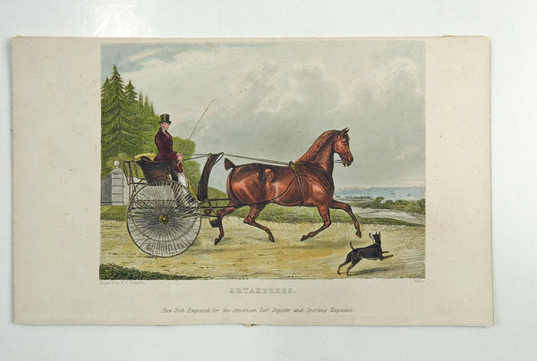 1839 Engraving Horse & Curricle