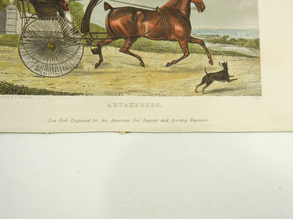 1839 Engraving Horse & Curricle