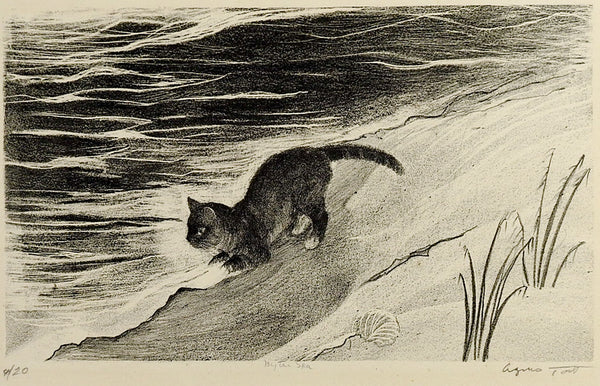 Cat On Beach By Agnes Tait Lithograph