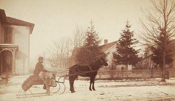 Horse & Sleigh Antique Photograph