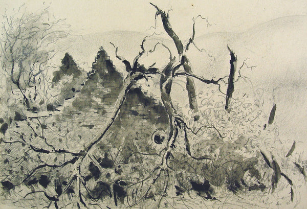 Watercolor Study of English Ruin by Franklin White