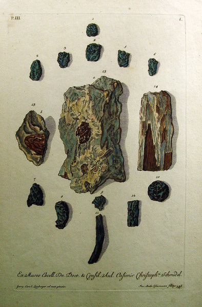 Anitque 18th Century Geological Specimens Antique Lithograph - Artifax antiques & design