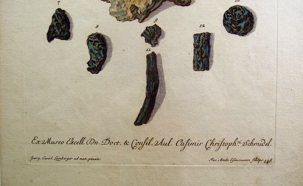 18th Century Geological Specimens Antique Lithograph - Artifax antiques & design