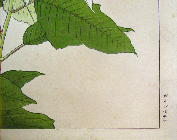 Wood Block Print by Tanigami Konan, 1917
