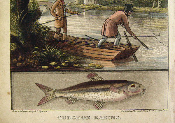 British Fishing Etching, 1822 - Artifax antiques & design
