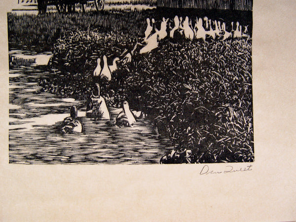 Pond Ducks by Dan Quest
