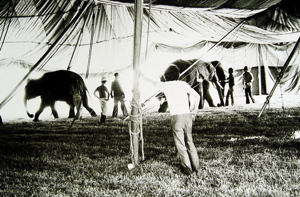 Big Top Circus Photograph With Elephants - Artifax antiques & design