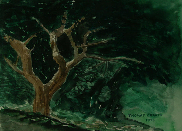 Mysterious Forest Watercolor