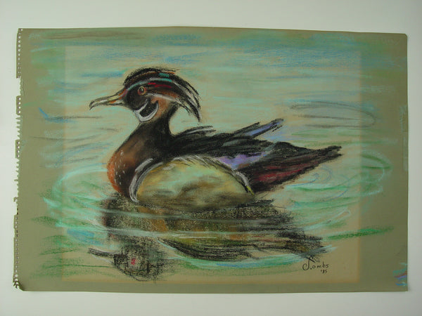 Wood Duck Pastel on Paper