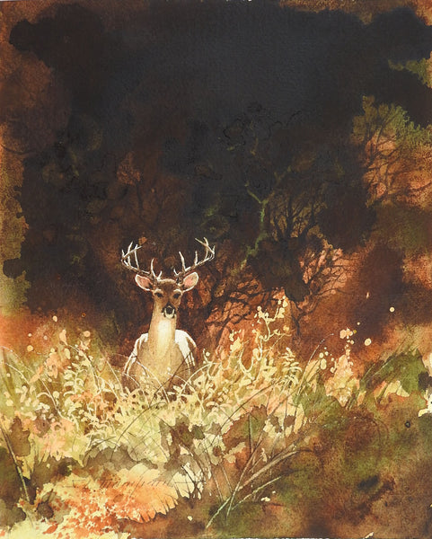 Deer In The Sun Watercolor Painting