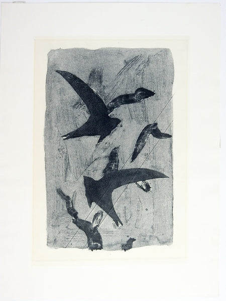 Abstract Birds Etching