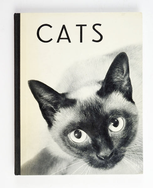 Cats Photography Book