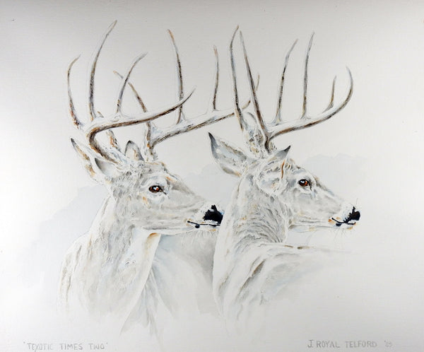 J. Royal Telford Texas White Tail Deer Watercolor Painting