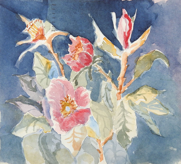 Small Pink Roses Watercolor Painting