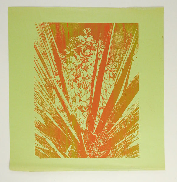 1968 Yucca Plant Serigraph Print