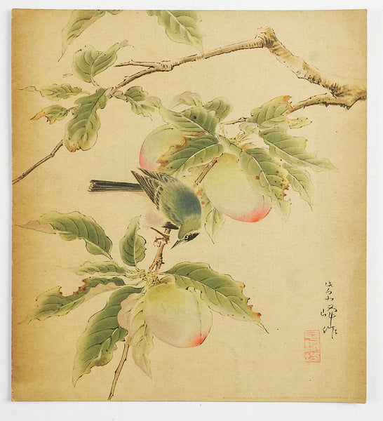 Bluebird & Peaches Asian Print