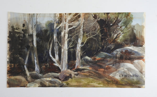 Forest Stream Watercolor Painting