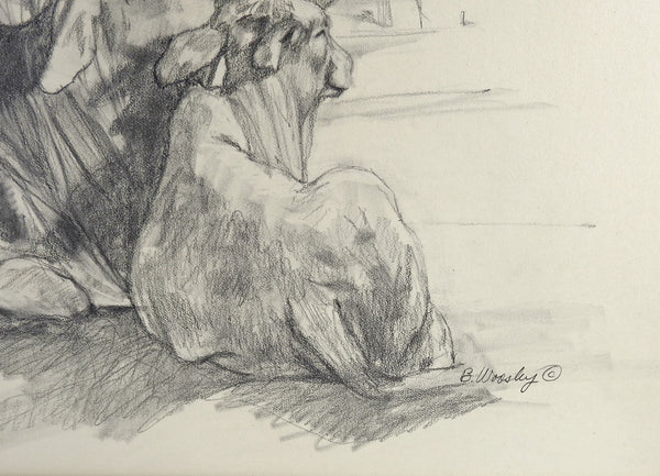 Pencil Study Drawing Brahman Cattle