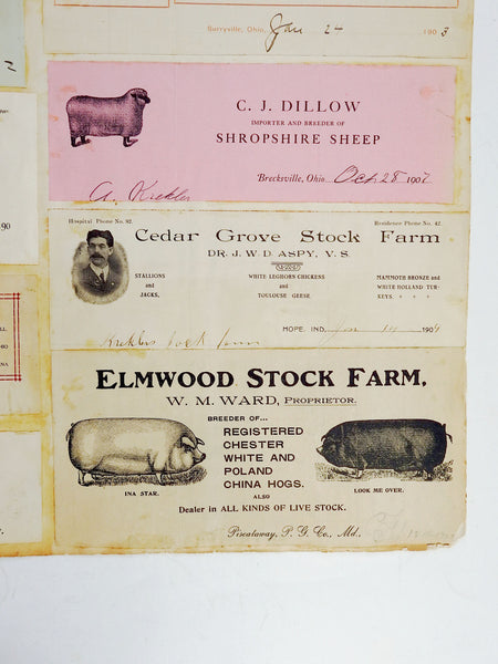 Mounted Collection of Antique Farm & Livestock Letterhead Graphics