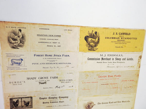 Mounted Collection of Antique Farm & Livestock Letterhead Graphics