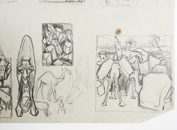 Camel Pencil Studies Drawing By George Baer