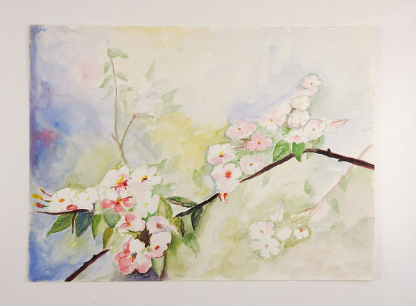 Apple Blossoms Watercolor Painting