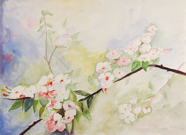 Apple Blossoms Watercolor Painting