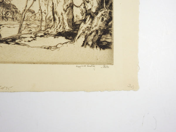 Beverly Beeches by Alfred Hutty Etching
