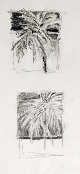 Tiny Foliage Pencil Study Drawings