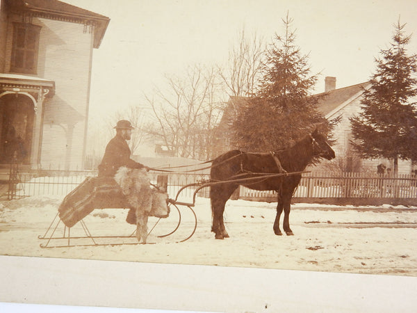 Horse & Sleigh Antique Photograph