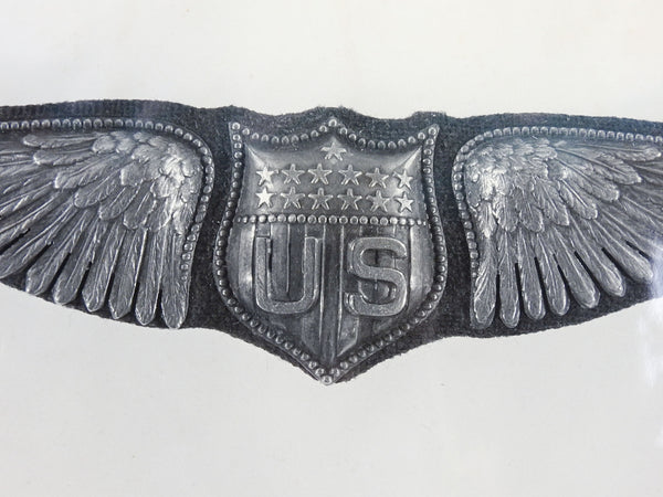 USAF Photo Of Pilot Wings