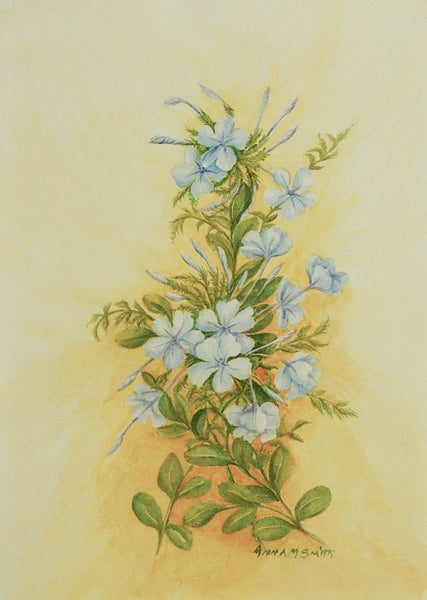 Plumbago Botanical Watercolor