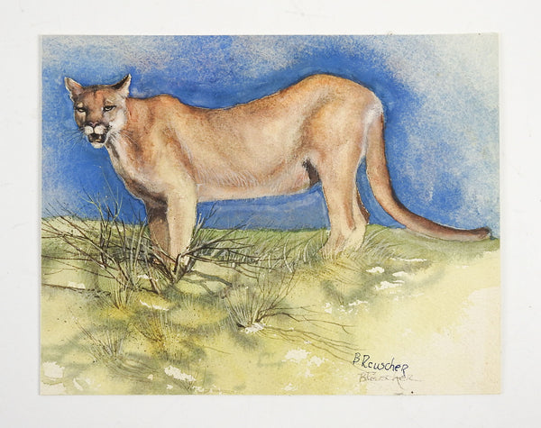 Adobe Landscape & Cougar 2 Paintings In 1 Watercolor