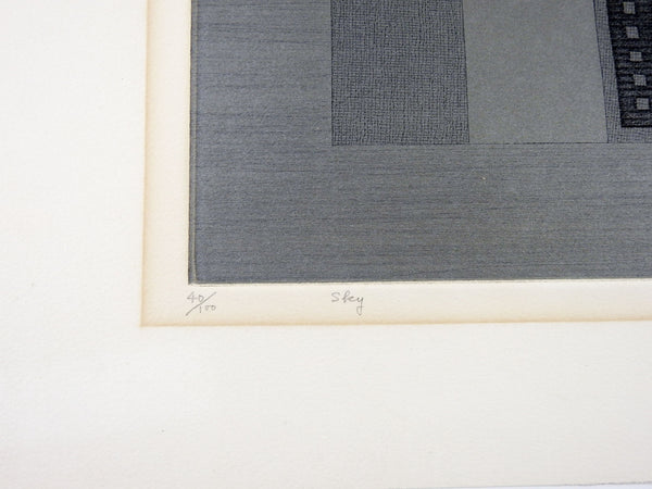 Op Art Abstract Etching By Liao