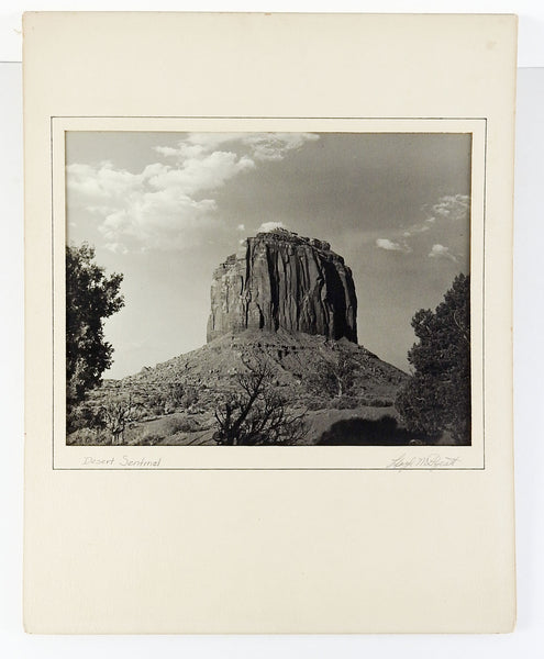 Desert Sentinel Monument Valley