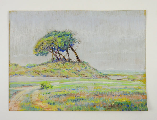 Windswept Trees Pastel Drawing By Simon Michael