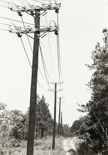 Powerline Road Photograph