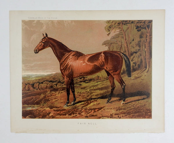 1873 Equine Chromolithograph Fair Nell