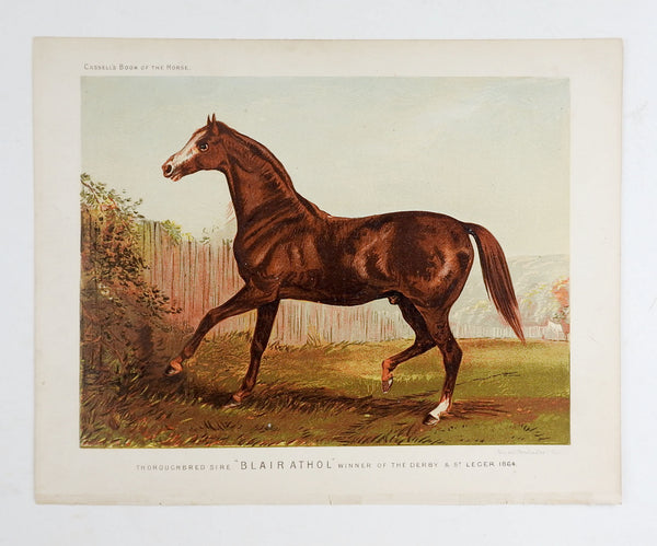 1873 Equine Chromolithograph Blairathol