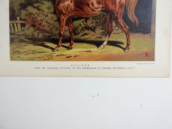 1873 Equine Chromolithograph