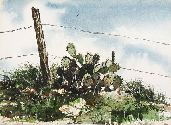 Cactus Watercolor Painting by Jerry Weers