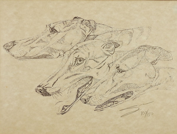 Portrait of 3 Greyhound Dogs Lithograph