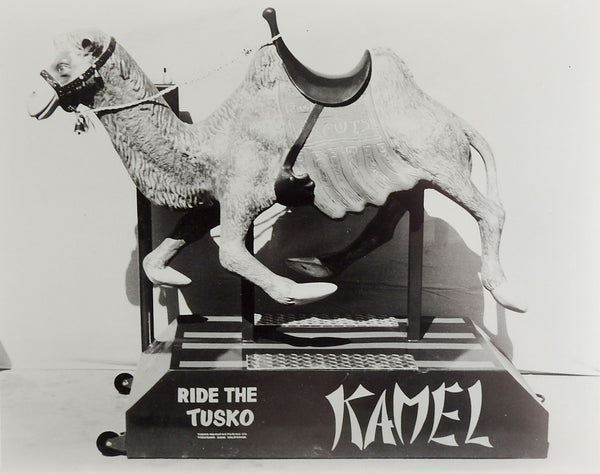 1950's Tusko Kamel Kiddie Ride Photograph
