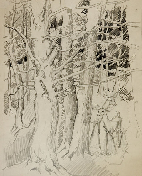 Pencil Study Of Deer In Forest Drawing