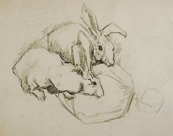 Rabbit Pencil Study Drawing