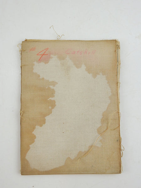 Catskill New York 1895 US Geological Survey Folding Map