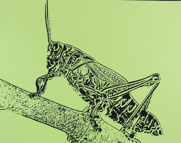 Grasshopper Serigraph Print