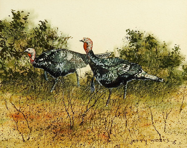 Wild Turkeys Watercolor by Jerry Weers